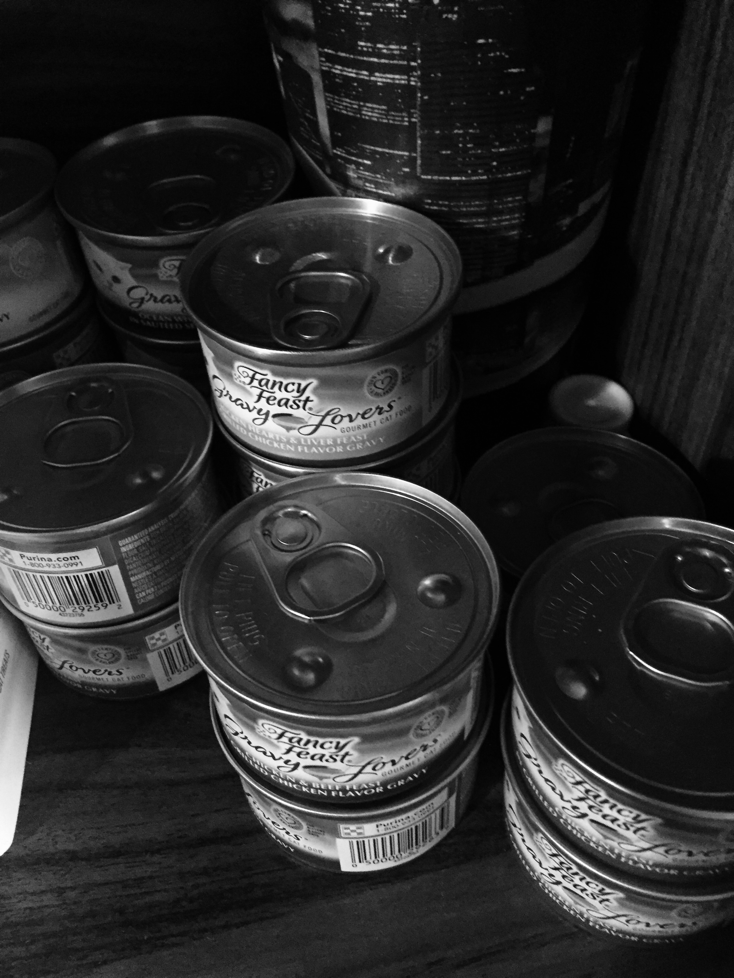 FullSizeRender-3 copy